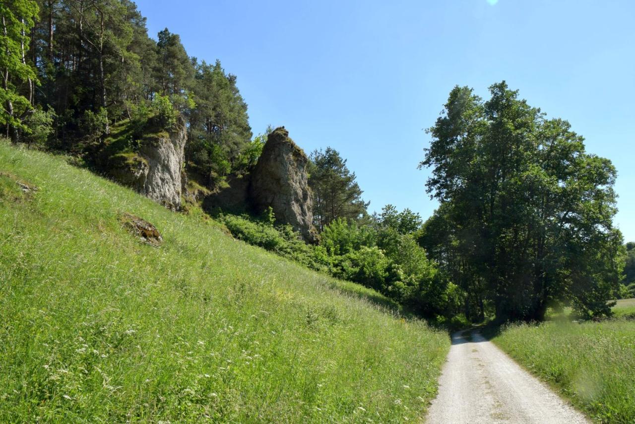 Hotel Gasthof Zum Loewen Velburg Dış mekan fotoğraf